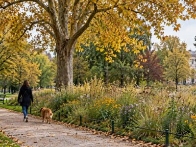 Un parco di Milano in autunno con alberi, un prato fiorito e una persona che passeggia con il cane al guinzaglio